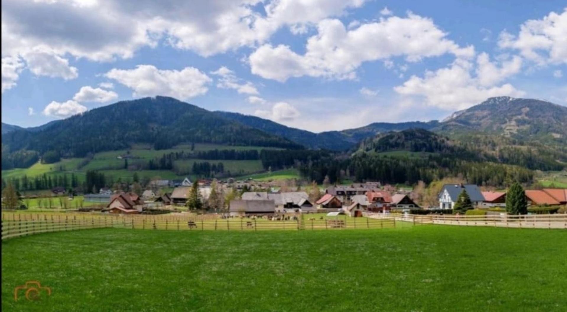 Alpakas, Lamas Und Rentiere Zum Gruenen See Grossdorf  Luaran gambar