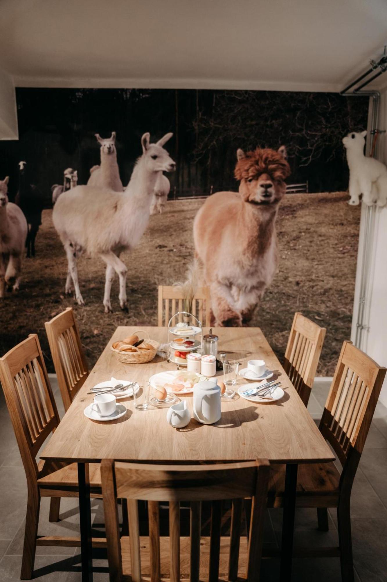 Alpakas, Lamas Und Rentiere Zum Gruenen See Grossdorf  Luaran gambar