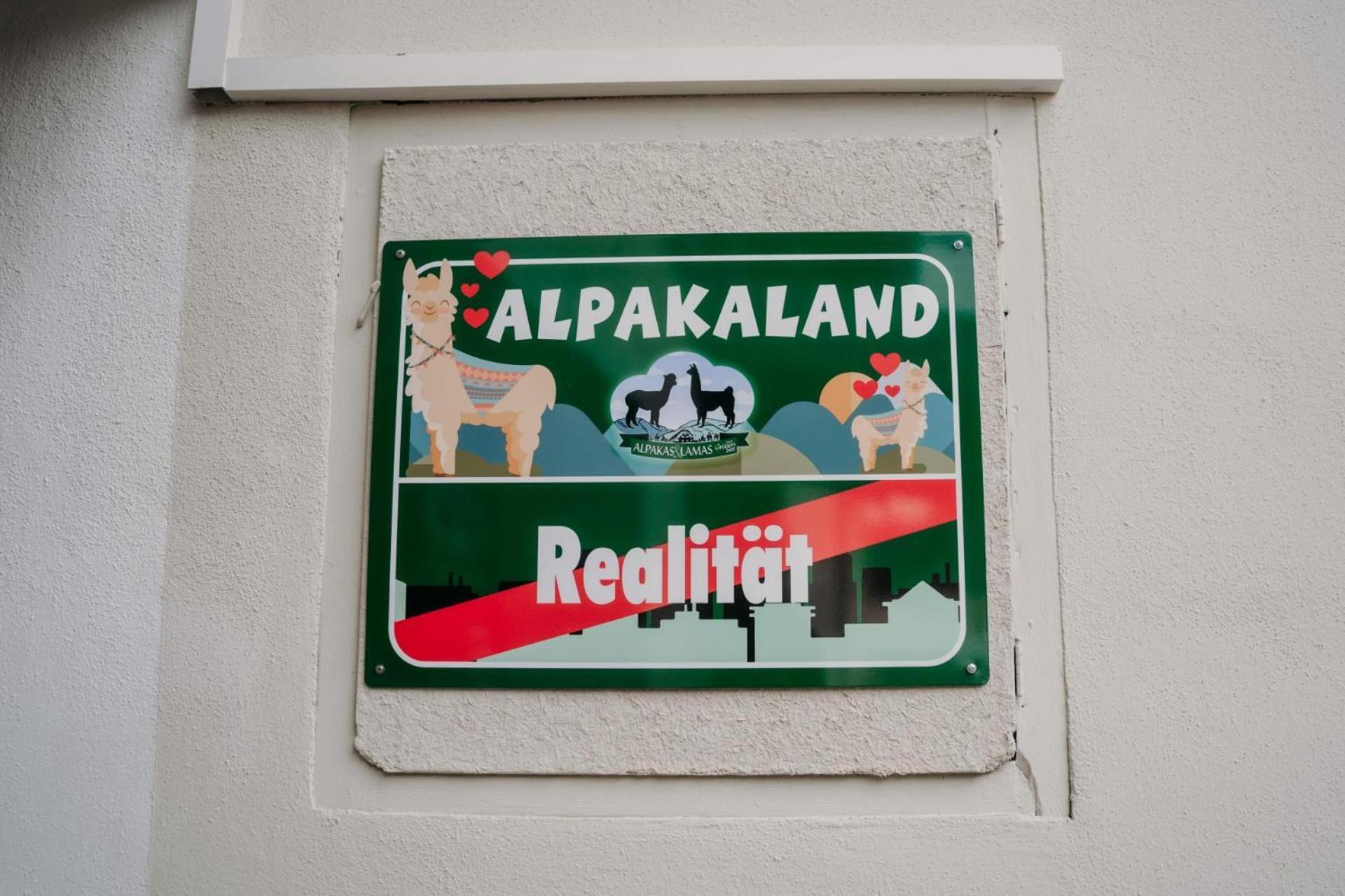 Alpakas, Lamas Und Rentiere Zum Gruenen See Grossdorf  Luaran gambar