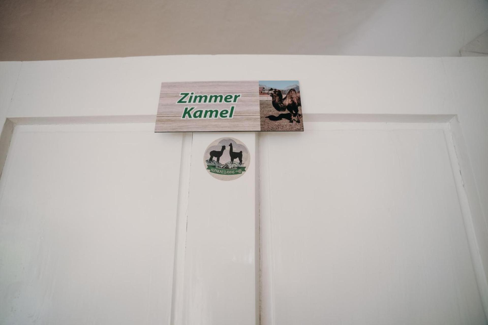 Alpakas, Lamas Und Rentiere Zum Gruenen See Grossdorf  Luaran gambar