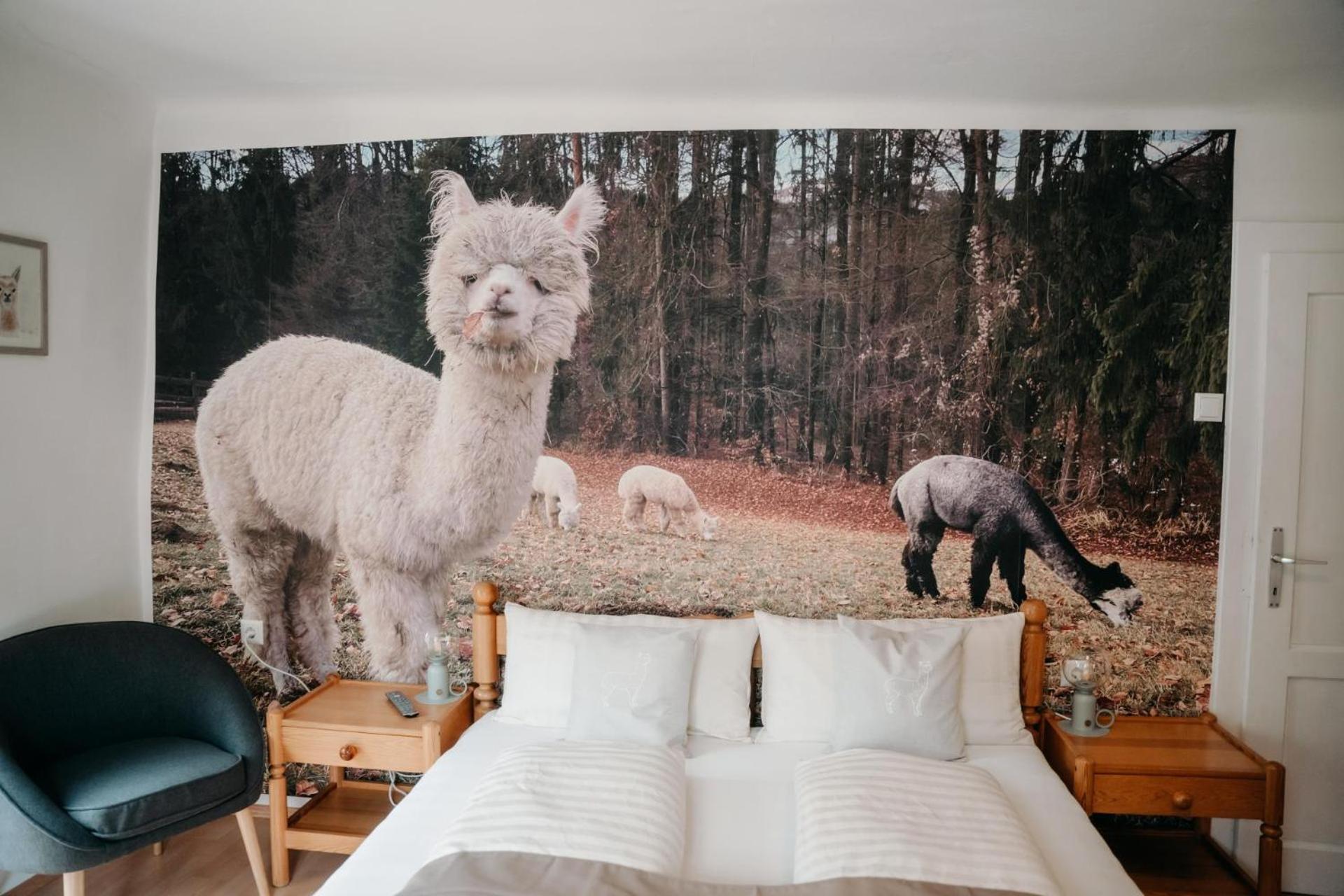 Alpakas, Lamas Und Rentiere Zum Gruenen See Grossdorf  Luaran gambar