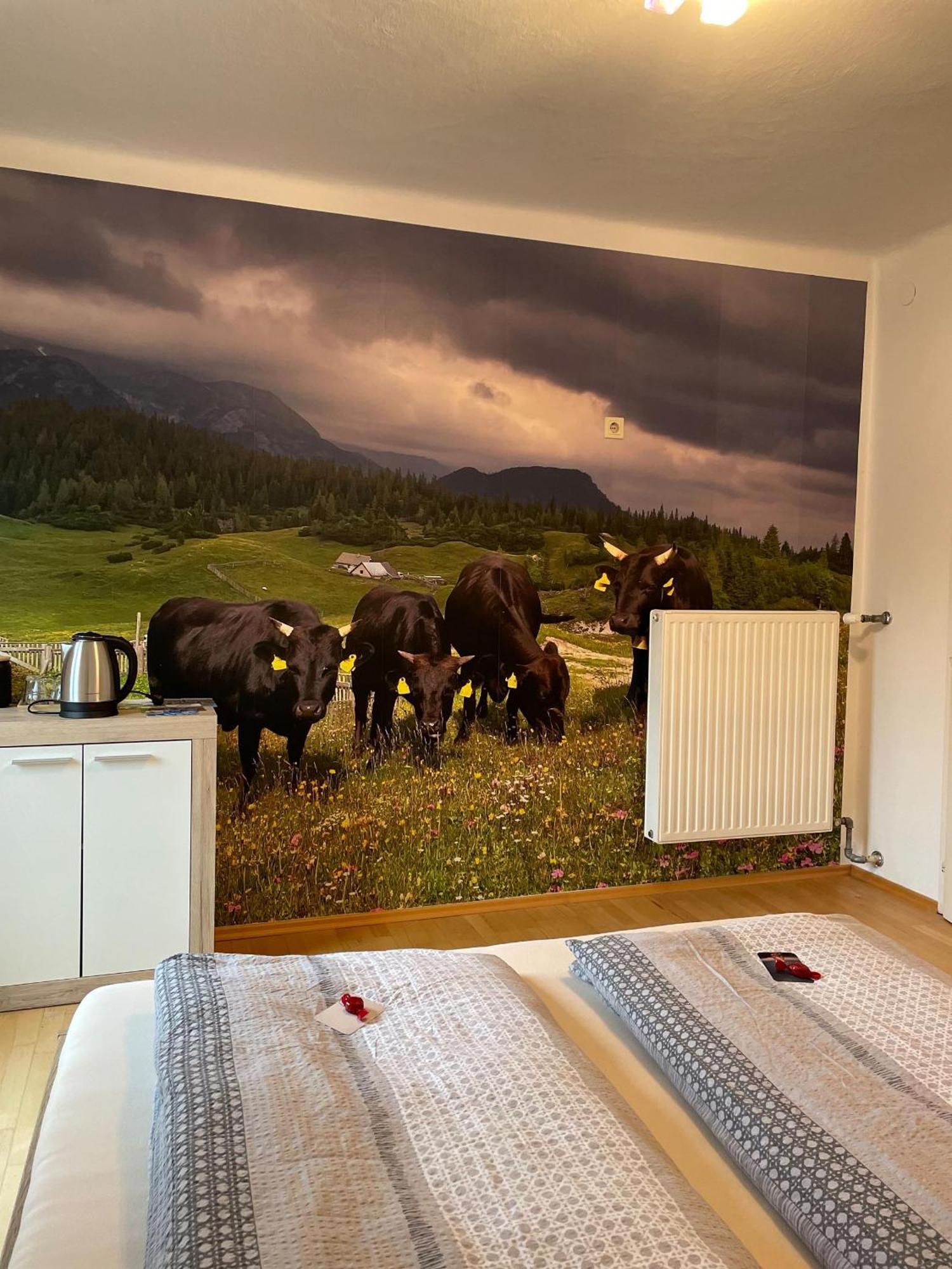 Alpakas, Lamas Und Rentiere Zum Gruenen See Grossdorf  Luaran gambar